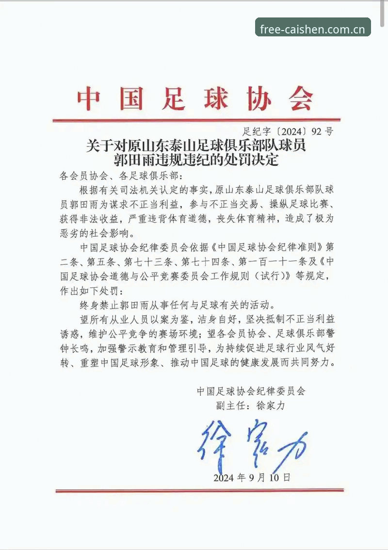 资深玩家分享：从足协第三批禁足名单看中国足球的诚信重塑