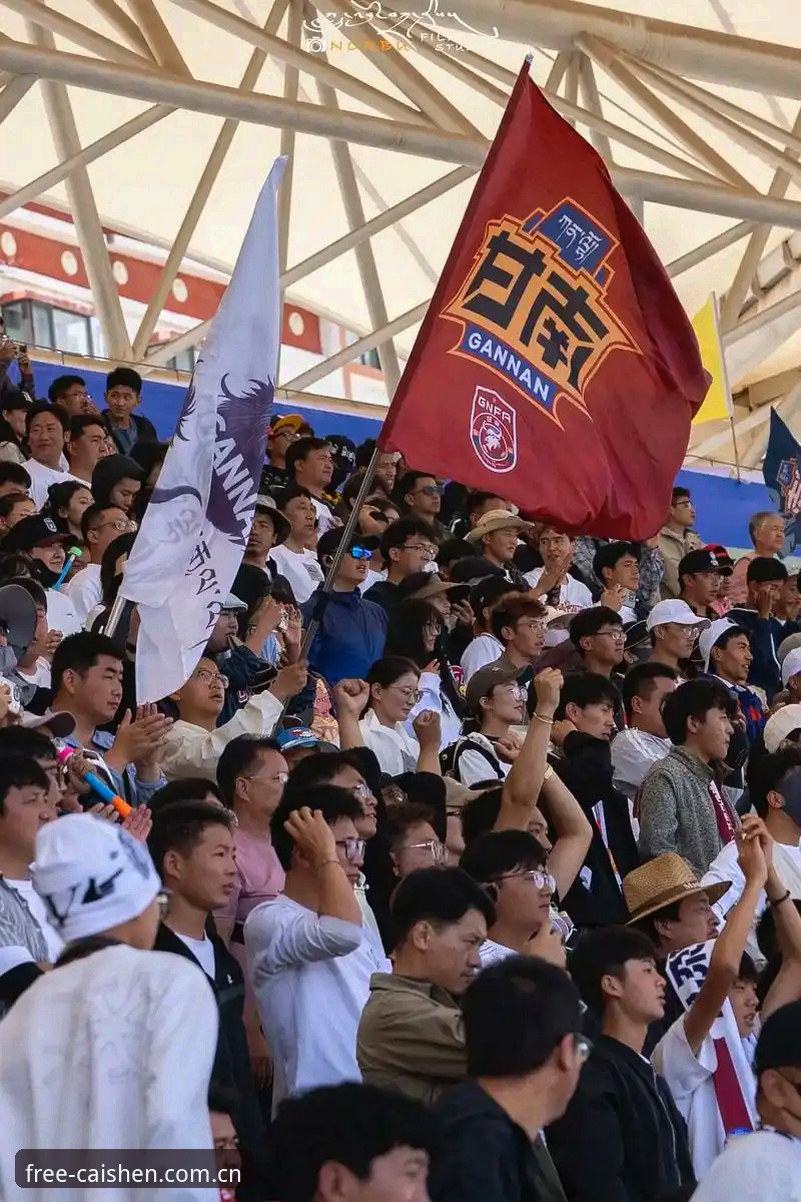 球迷签证受阻观赛难，资深玩家分享世界杯现场体验心得